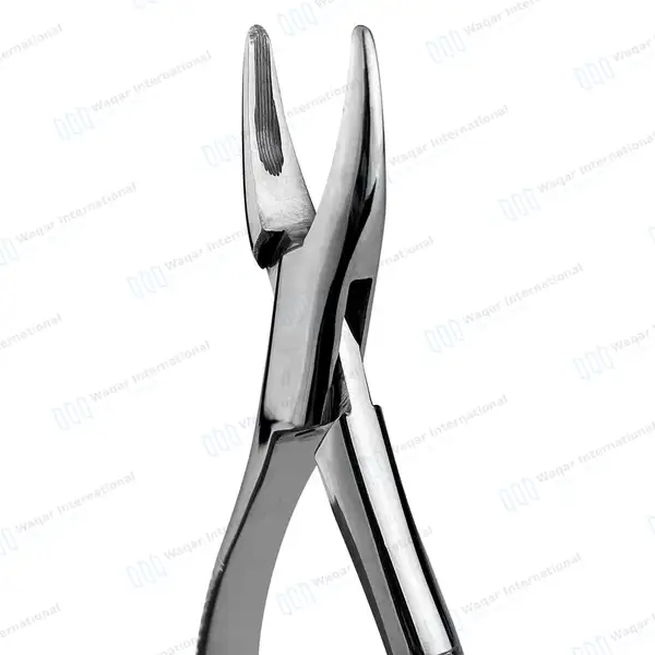 6 Extracting Forceps Dental Surgical 1 Hen - dental instruments manufactured by Waqar International, Sialkot - view 3