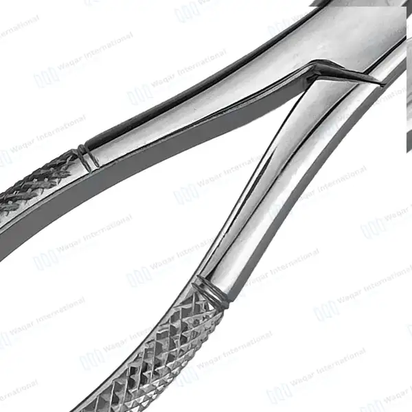 6 Extracting Forceps Dental Surgical 1 Hen - dental instruments manufactured by Waqar International, Sialkot - view 6