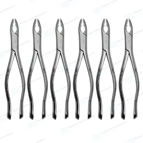 6 Pcs Extracting Forceps Set #151AS Serrated Split Beaks - dental instruments manufactured by Waqar International, Sialkot - view 2