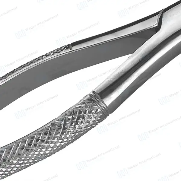6 Extracting Forceps 3FS Dental Surgical Instruments - dental instruments manufactured by Waqar International, Sialkot - view 4
