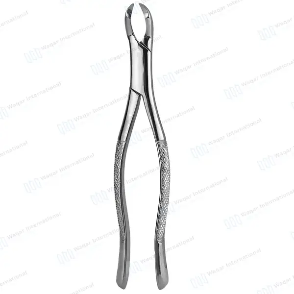 12 Extracting Forceps 3FS Dental Surgical Instruments - dental instruments manufactured by Waqar International, Sialkot - view 7