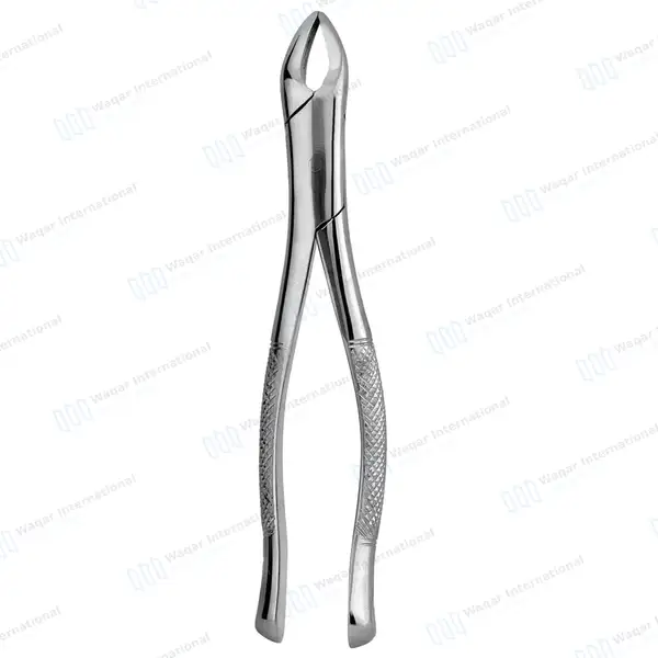 6 Pcs Extracting Forceps #62 Upper and Lower Anterior Teeth - dental instruments manufactured by Waqar International, Sialkot - view 6