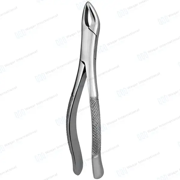 6 Pcs Extracting Forceps #62 Upper and Lower Anterior Teeth - dental instruments manufactured by Waqar International, Sialkot - view 7