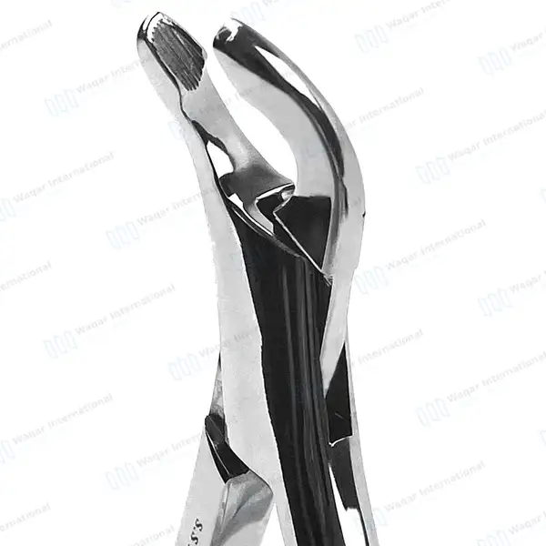 6 Extracting Forceps #203 Lower Incisors, Canines, Premolars & Roots - dental instruments manufactured by Waqar International, Sialkot - view 3