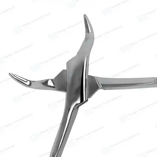 12 American Pattern Extracting Forceps No. 10S - dental instruments manufactured by Waqar International, Sialkot - view 4