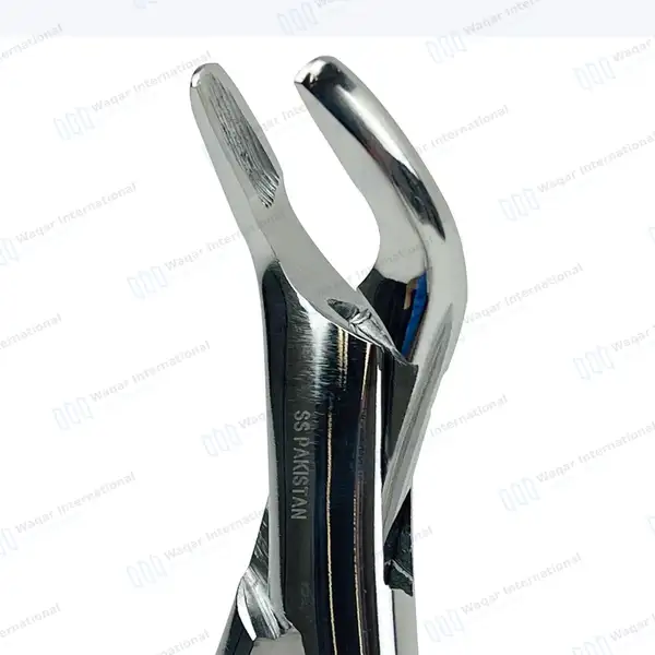 American Extracting Forceps #151A - dental instruments manufactured by Waqar International, Sialkot - view 3