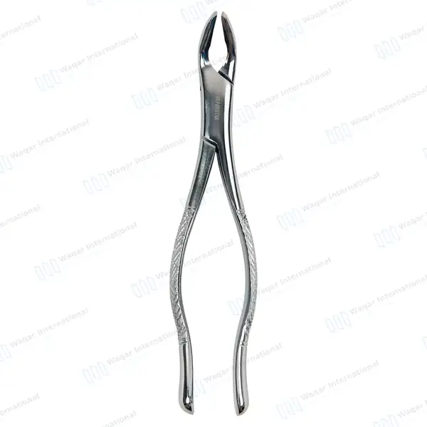American Extracting Forceps #151A - dental instruments manufactured by Waqar International, Sialkot - view 7