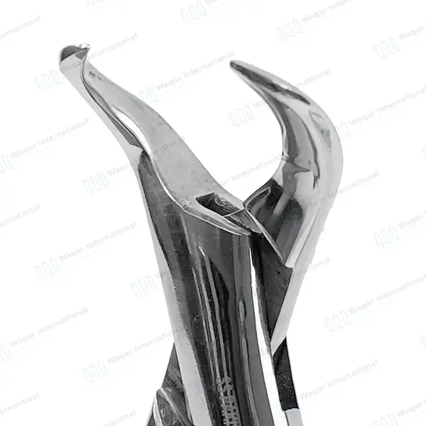 American Extracting Forceps #16 Lower 1st & 2nd Molars - dental instruments manufactured by Waqar International, Sialkot - view 3