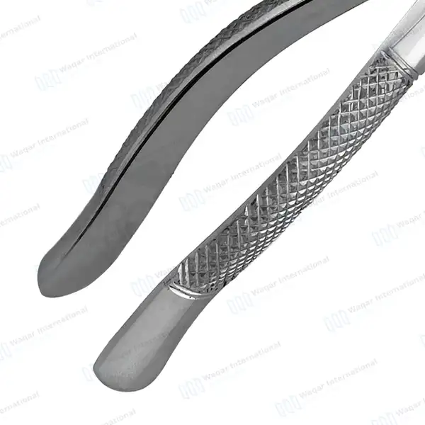 3 Pcs Extracting Forceps #62 Upper and Lower Anterior Teeth - dental instruments manufactured by Waqar International, Sialkot - view 5