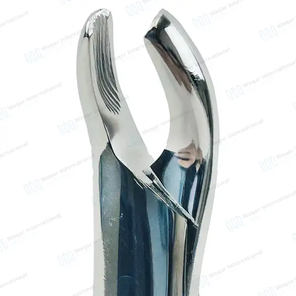 Dental Extracting Forceps No. 24 for Upper Molars - dental instruments manufactured by Waqar International, Sialkot - view 2