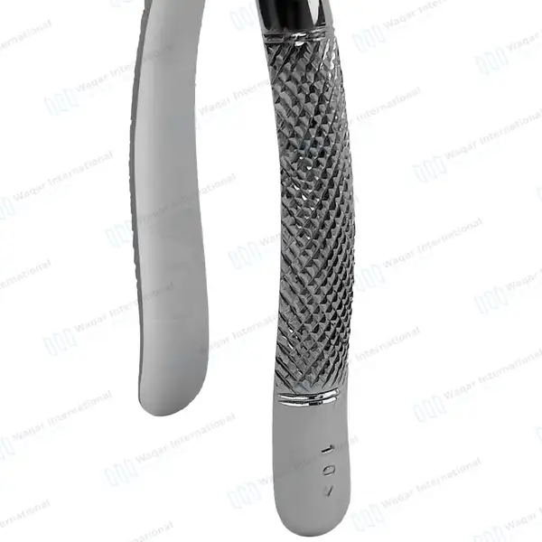 Dental Tooth Extracting Forceps #10S with Serrated Jaws - dental instruments manufactured by Waqar International, Sialkot - view 5