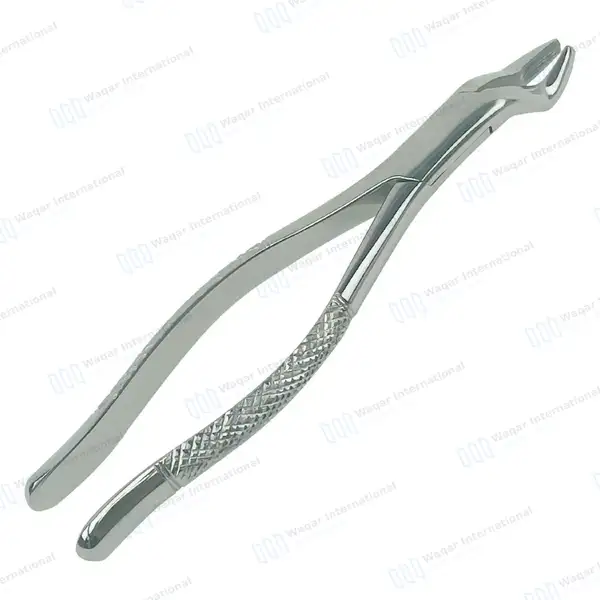 Dental Tooth Extracting Forceps #10S with Serrated Jaws - dental instruments manufactured by Waqar International, Sialkot - view 7