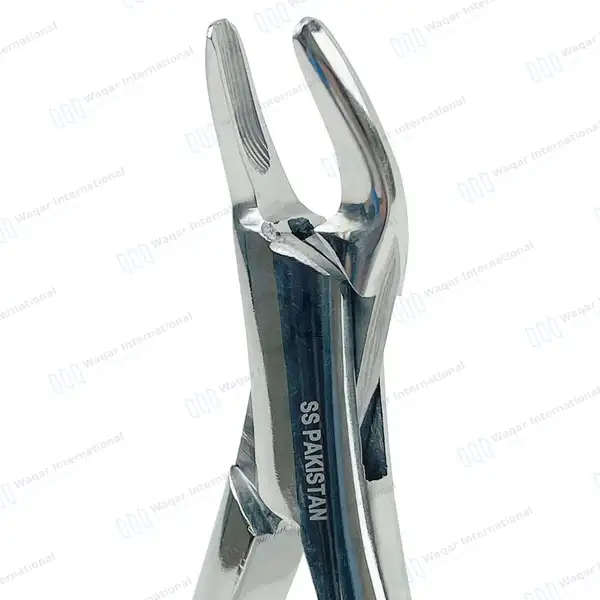 Dental Extraction Forceps #150 Upper Incisors, Root Teeth - dental instruments manufactured by Waqar International, Sialkot - view 5