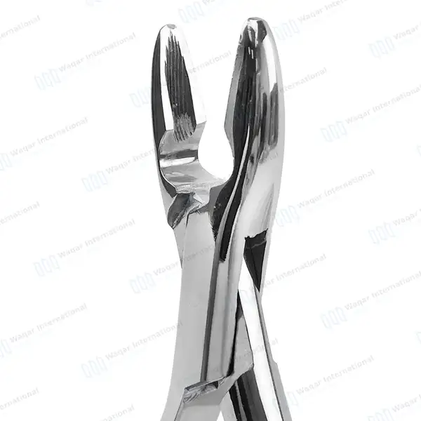 Extracting Forceps #99A Upper Incisors, Canines & Premolar Root - dental instruments manufactured by Waqar International, Sialkot - view 3