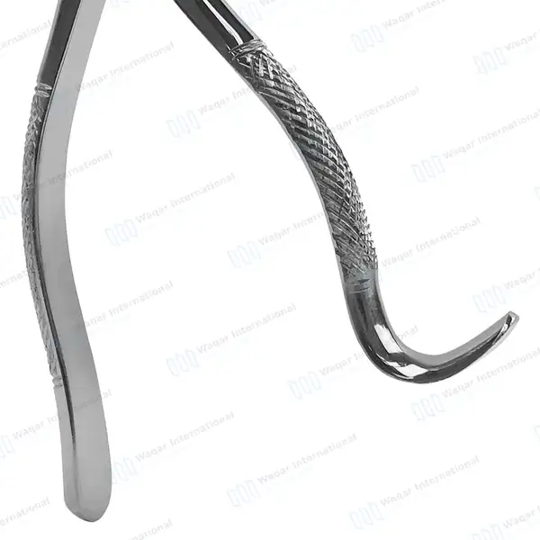 Extracting Forceps #99A Upper Incisors, Canines & Premolar Root - dental instruments manufactured by Waqar International, Sialkot - view 4