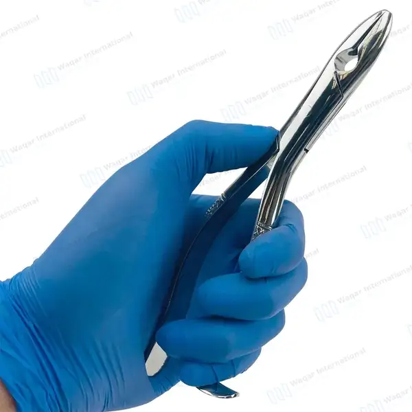 Extracting Forceps #99A Upper Incisors, Canines & Premolar Root - dental instruments manufactured by Waqar International, Sialkot - view 8