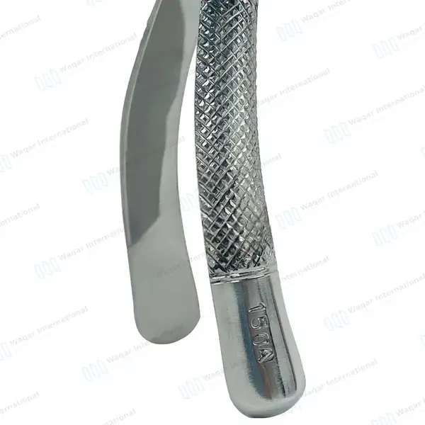Extracting Forceps #150A for Upper Inscisors, Cuspids and Bicuspids - dental instruments manufactured by Waqar International, Sialkot - view 4