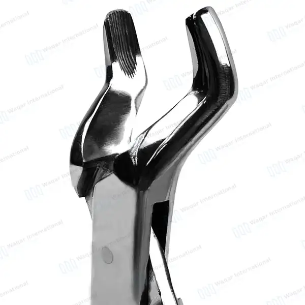 Extracting Forceps #210S Upper 3rd Molars, Universal - dental instruments manufactured by Waqar International, Sialkot - view 3