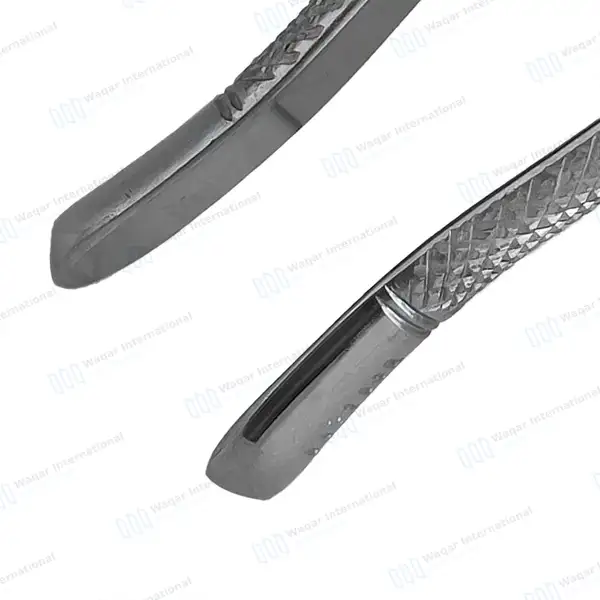 Extracting Forceps 1 Hen Dental Surgical - dental instruments manufactured by Waqar International, Sialkot - view 7