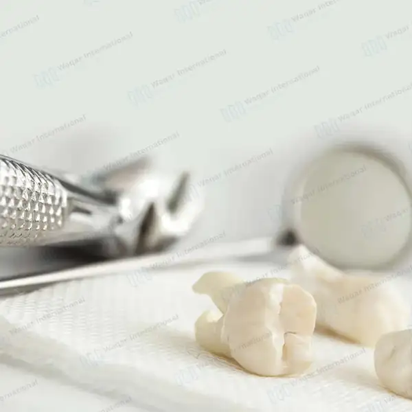 Extracting Forceps #151AS Serrated Split Beaks - dental instruments manufactured by Waqar International, Sialkot - view 5