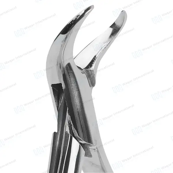 12 Pcs American Pedo Extracting Forceps #16S Lower Molars - dental instruments manufactured by Waqar International, Sialkot - view 2