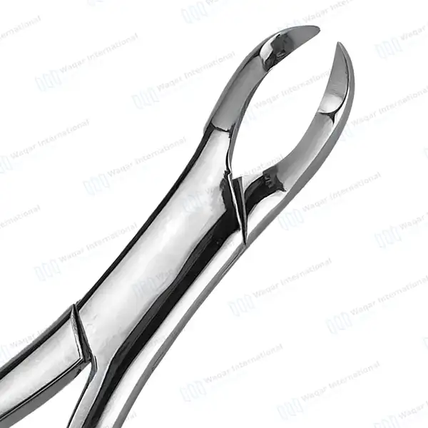 Extracting Forceps 3FS Dental Surgical Instrument - dental instruments manufactured by Waqar International, Sialkot - view 2