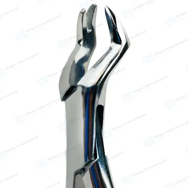 Dental Extracting Forceps #88L 1st & 2nd Upper Molar - dental instruments manufactured by Waqar International, Sialkot - view 3
