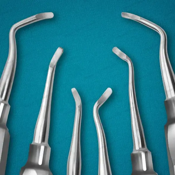 6 Miller Dental Tooth Extracting East West Elevator Right+Left Rounded Blade - dental instruments manufactured by Waqar International, Sialkot - view 2