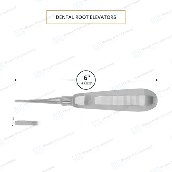 Apical Root Elevators 301 Straight 2.5mm Small Tip - dental instruments manufactured by Waqar International, Sialkot - view 3