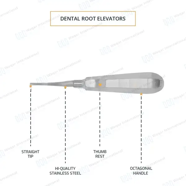 Apical Root Elevators 301 Straight 2.5mm Small Tip - dental instruments manufactured by Waqar International, Sialkot - view 4
