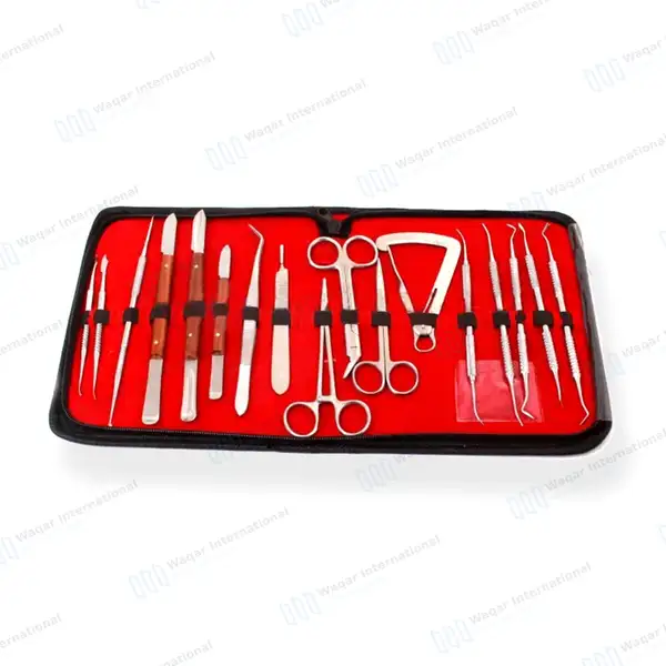 17 Pcs Modeling Instruments Dental Laboratory Set - surgical instruments manufactured by Waqar International, Sialkot - view 7