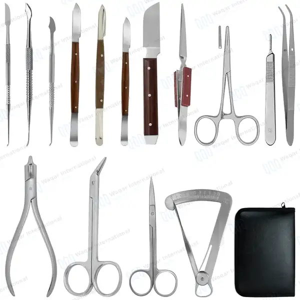 15 Pcs Dental Laboratory Set with Carrying Case - surgical instruments manufactured by Waqar International, Sialkot - view 2