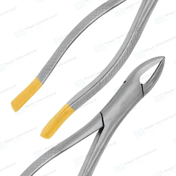 Set of 10 Pcs Oral Dental Extraction Kit+Extracting Forceps #150+151+74N - surgical instruments manufactured by Waqar International, Sialkot - view 2