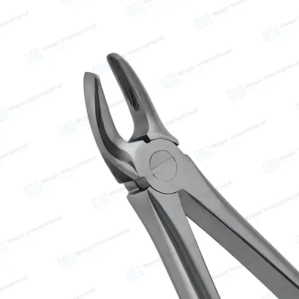English Mead Extracting Forceps #MD2 for Upper Molars - surgical instruments manufactured by Waqar International, Sialkot - view 2