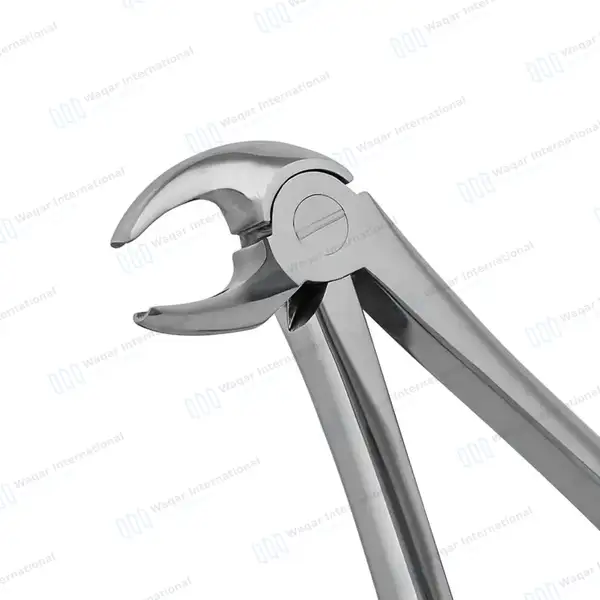 English Mead Extracting Forceps #MD3 for Lower Incisors and Roots - surgical instruments manufactured by Waqar International, Sialkot - view 3