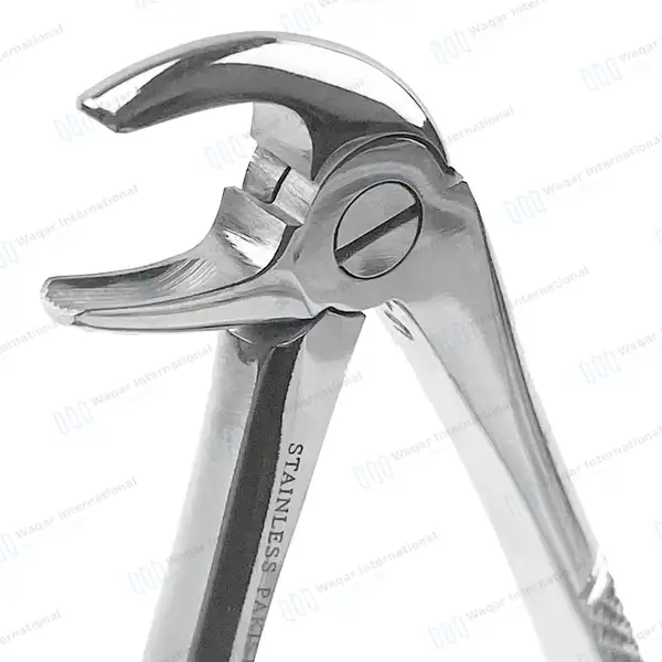 English Extracting Forceps No. 13 Lower Premolars - surgical instruments manufactured by Waqar International, Sialkot - view 3