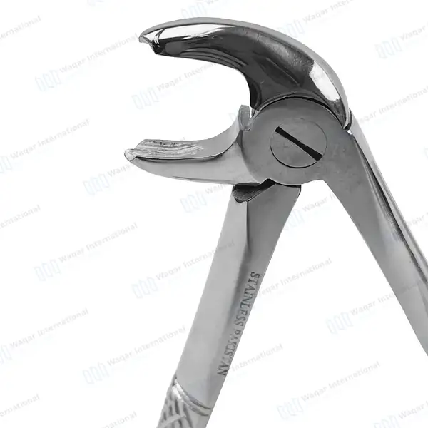 English Extracting Forceps #22 for Lower Molars - surgical instruments manufactured by Waqar International, Sialkot - view 3