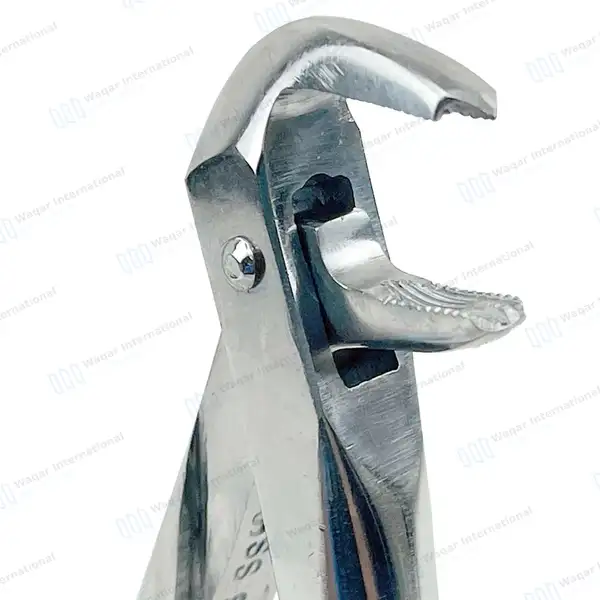 English Extracting Forceps #73 Lower Molars - surgical instruments manufactured by Waqar International, Sialkot - view 3