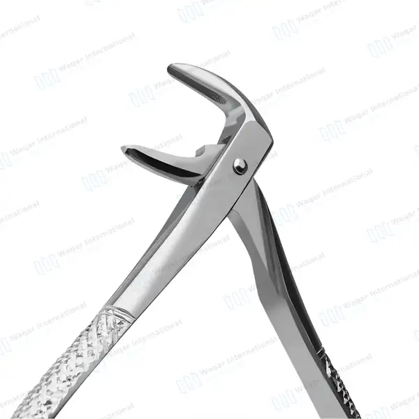 English Extracting Forceps No. 74 - surgical instruments manufactured by Waqar International, Sialkot - view 2