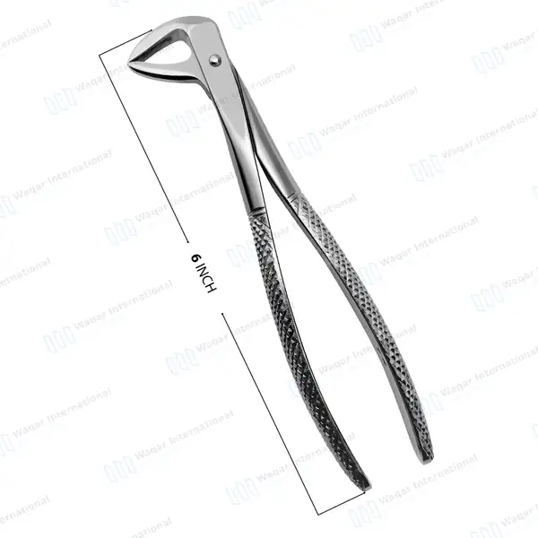English Extracting Forceps No. 74 - surgical instruments manufactured by Waqar International, Sialkot - view 3
