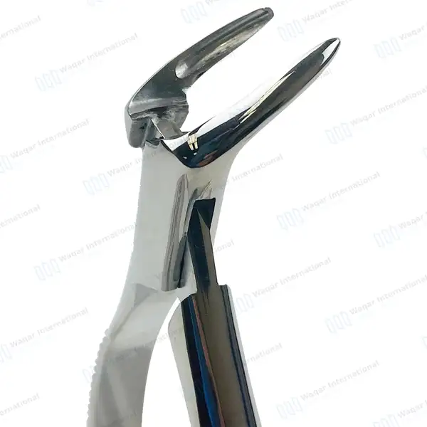 Dental Extracting Forceps No.44 Lower Anterior - dental instruments manufactured by Waqar International, Sialkot - view 2