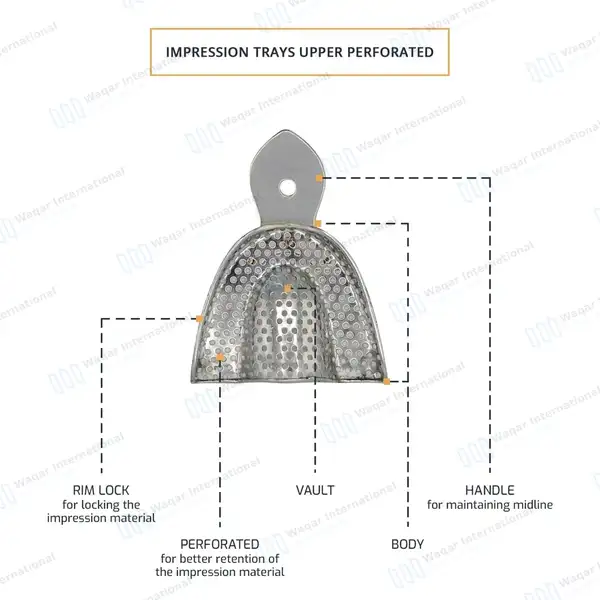 10 Metal Dental Impression Trays Perforated Upper & Lower  XS, S, M, L & XL - surgical instruments manufactured by Waqar International, Sialkot - view 3