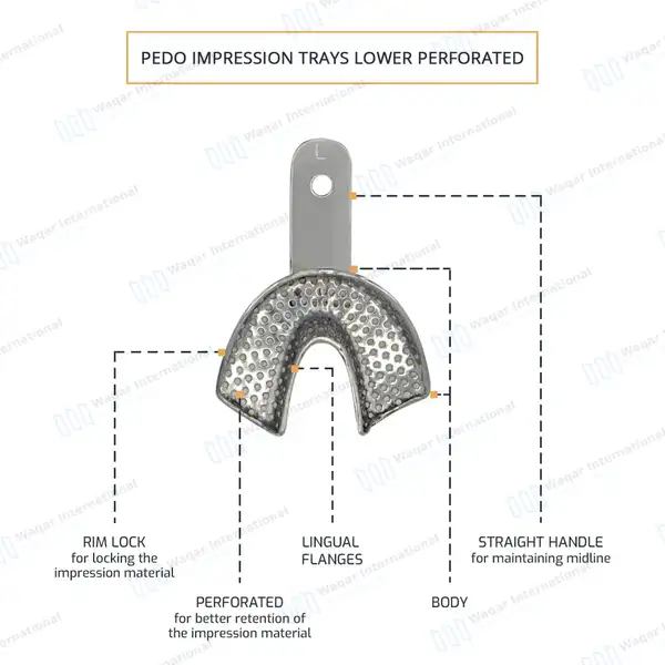 6 Pcs Pedo Impression Trays Set S, M, L Upper & Lower – Perforated - surgical instruments manufactured by Waqar International, Sialkot - view 3