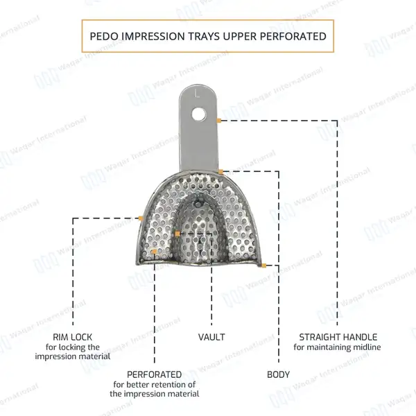 6 Pcs Pedo Impression Trays Set S, M, L Upper & Lower – Perforated - surgical instruments manufactured by Waqar International, Sialkot - view 4