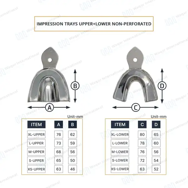 8 Solid Dental Impression Trays Set Upper & Lower  XS, S, M, L - surgical instruments manufactured by Waqar International, Sialkot - view 3
