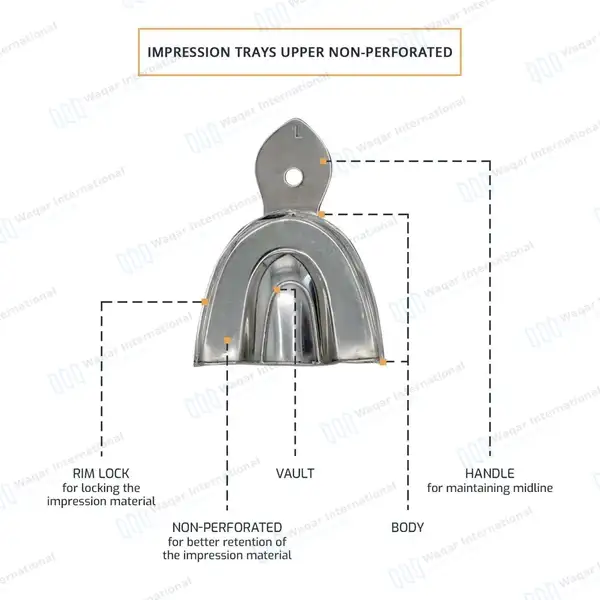 8 Solid Dental Impression Trays Set Upper & Lower  XS, S, M, L - surgical instruments manufactured by Waqar International, Sialkot - view 4
