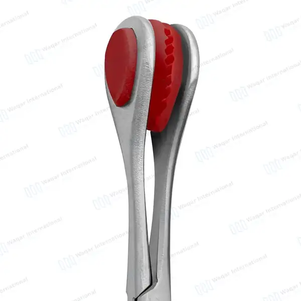 6 Pcs Young Tongue Forceps Set 6.5″ Surgical Oral Instrument - surgical instruments manufactured by Waqar International, Sialkot - view 3