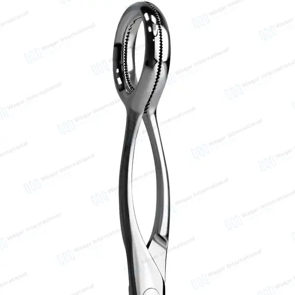 Collins Tongue Seizing Forceps 6.75″ (17.1cm) Jaws 25mm Wide - surgical instruments manufactured by Waqar International, Sialkot - view 4