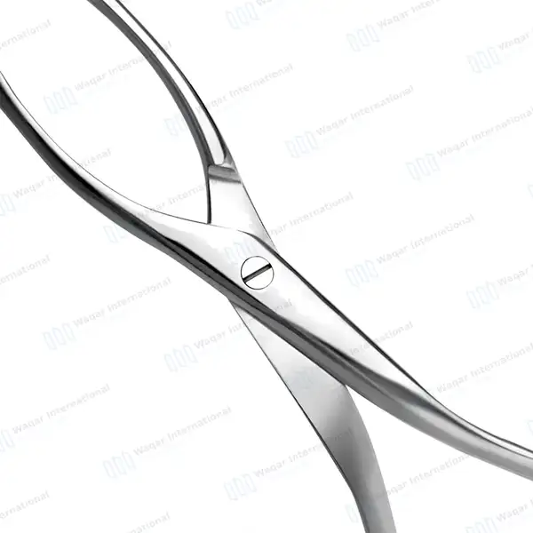 Collins Tongue Seizing Forceps 6.75″ (17.1cm) Jaws 25mm Wide - surgical instruments manufactured by Waqar International, Sialkot - view 6