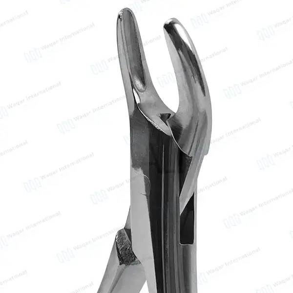 Dental Extracting Forceps #101 for Upper & Lower Premolars - dental instruments manufactured by Waqar International, Sialkot - view 3